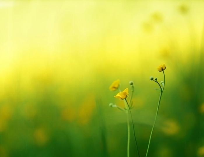 Общетерапевтическая - Санаторий «им. Тельмана»