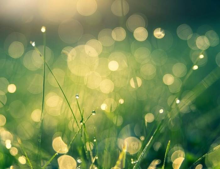 Оздоровительная - Санаторий «им. Тельмана»