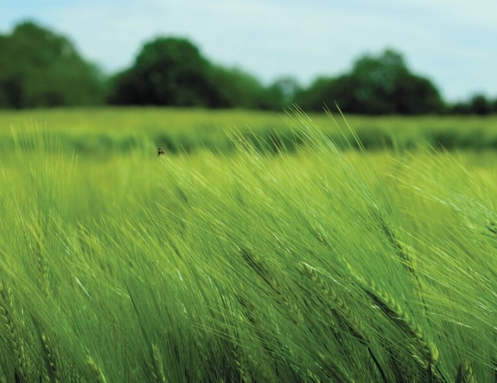 Неврологическая - Санаторий «им. Тельмана»