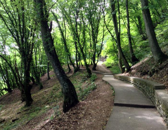 Терренкур - Санаторий «им. Тельмана»